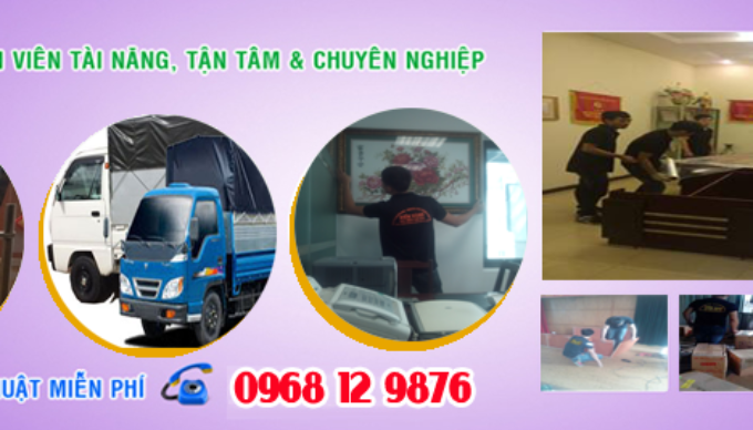 cong ty kien vang công ty kiến vàng